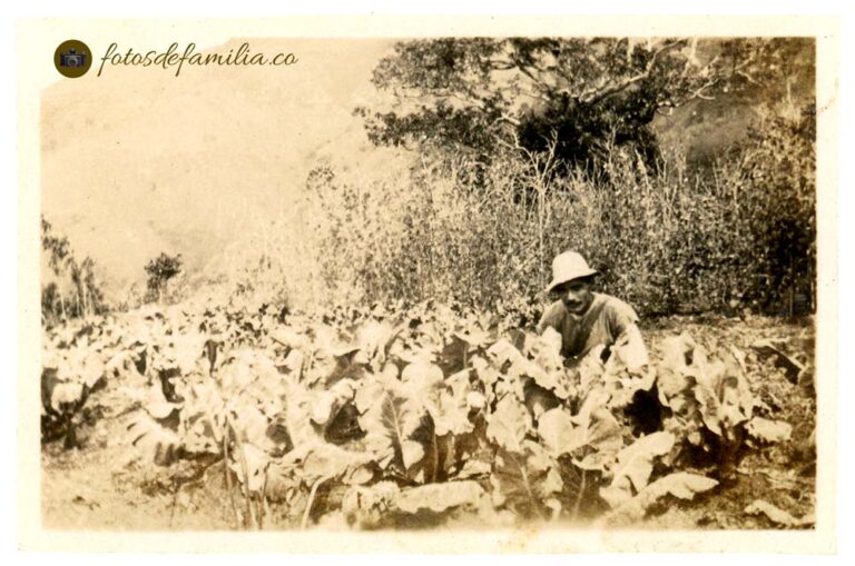 JRA-168 / La Huerta, finca Montana / Papel brillante / 4.5*6.5 / B/N