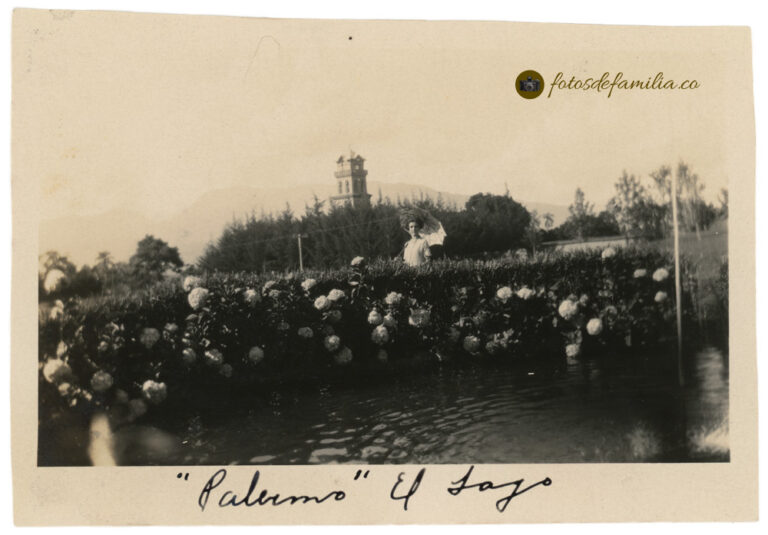 MEG_037 / Palermo, El Poblado, Medellín / Papel brillante / 8*12 / BYN