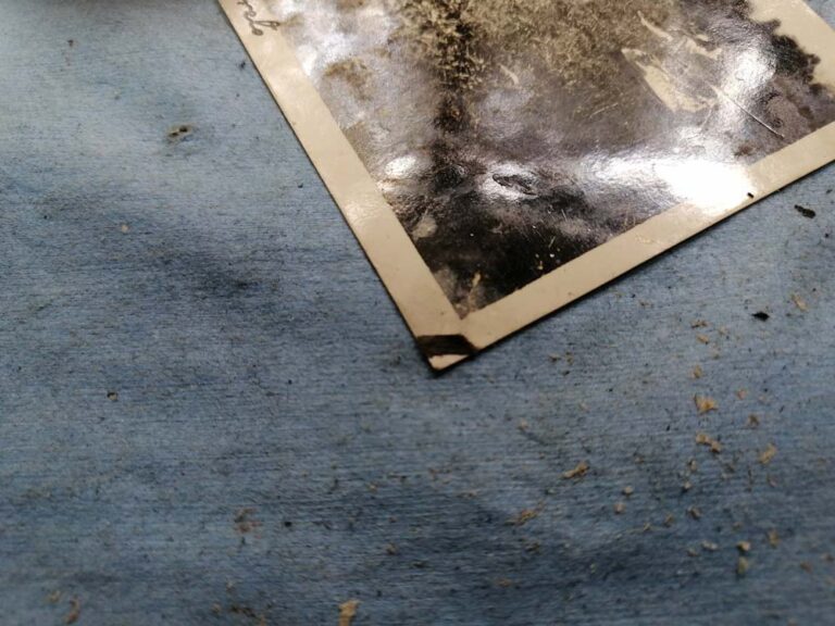 Fotosdefamilia primerosauxilios 3