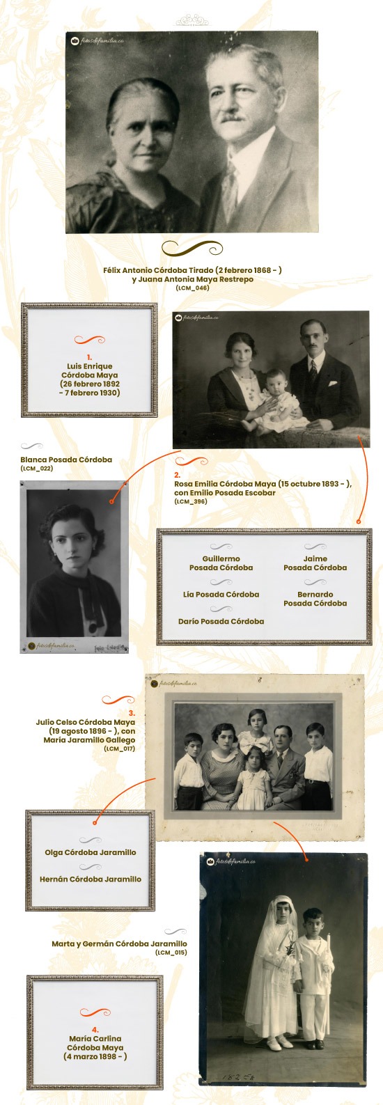 imgi 3 arbol genealogico album de familia 1 2021